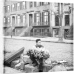 Boy Selling Flowers by Anonymous
