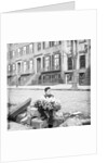 Boy Selling Flowers by Anonymous