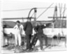 Officers on the USS St. Mary's by Anonymous