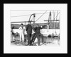 Officers on the USS St. Mary's by Anonymous