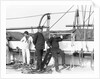 Officers on the USS St. Mary's by Anonymous
