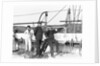 Officers on the USS St. Mary's by Anonymous
