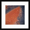 Algerian Desert From Space by Anonymous