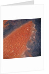 Algerian Desert From Space by Anonymous