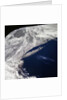 Long Island Seen From Orbit by Anonymous