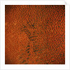 Sand Dunes in Saudi Arabia by Anonymous