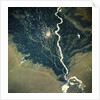 River and Cotton Fields Seen From Space by Anonymous