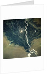 River and Cotton Fields Seen From Space by Anonymous
