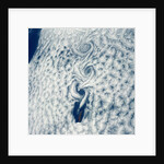 Wind Votices in the Wake of an Island by Anonymous