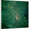 Brazilian Agricultural Fields from Space by Anonymous