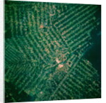 Brazilian Agricultural Fields from Space by Anonymous