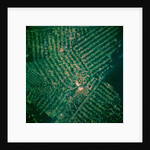 Brazilian Agricultural Fields from Space by Anonymous