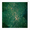 Brazilian Agricultural Fields from Space by Anonymous