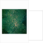 Brazilian Agricultural Fields from Space by Anonymous