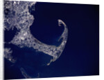 Cape Cod from Space by Anonymous