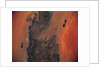 Libyan Desert from Space by Anonymous