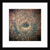 Indian Forest Preserve From Space by Anonymous