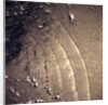 Internal Waves in the Sulu Sea by Anonymous