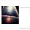 Sun Shining over Florida by Anonymous