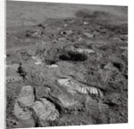 Footprints on the Surface of the Moon by Anonymous
