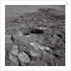 Footprints on the Surface of the Moon by Anonymous