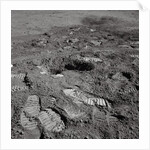 Footprints on the Surface of the Moon by Anonymous