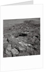 Footprints on the Surface of the Moon by Anonymous