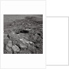 Footprints on the Surface of the Moon by Anonymous