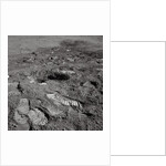 Footprints on the Surface of the Moon by Anonymous