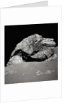 Large Rock on the Moon by Anonymous