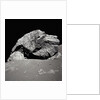 Large Rock on the Moon by Anonymous