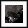 Cart and Antenna Shadow on the Moon by Anonymous