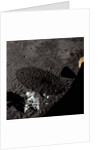 Cart and Antenna Shadow on the Moon by Anonymous