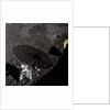 Cart and Antenna Shadow on the Moon by Anonymous