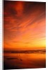 Southern California Sunset at Beach by Anonymous