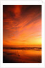 Southern California Sunset at Beach by Anonymous
