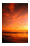 Southern California Sunset at Beach by Anonymous