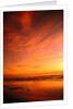 Southern California Sunset at Beach by Anonymous