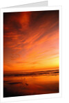 Southern California Sunset at Beach by Anonymous