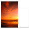 Southern California Sunset at Beach by Anonymous