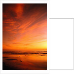 Southern California Sunset at Beach by Anonymous