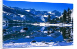 Winter Lodge in Sierra Nevada by Anonymous