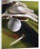 Golf Equipment by Anonymous