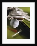 Golf Equipment by Anonymous