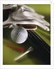Golf Equipment by Anonymous