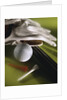 Golf Equipment by Anonymous