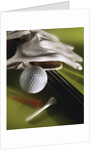 Golf Equipment by Anonymous