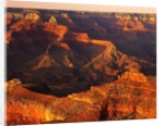 Grand Canyon Bathed in Sunlight by Anonymous