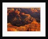 Grand Canyon Bathed in Sunlight by Anonymous