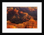 Grand Canyon Bathed in Sunlight by Anonymous